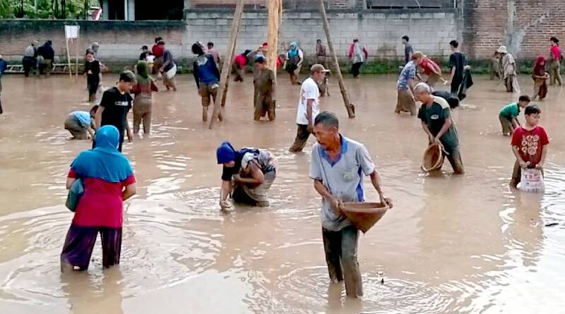Warga RT 26 Sewulan Meriahkan HUT RI ke-80 dengan Lomba Panjat Pohon Pisang dan Tangkap Lele di Sawah
