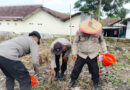 Polsek Jatiroto Dukung Ketahanan Pangan dengan Tanam Jagung di Lahan Sendiri
