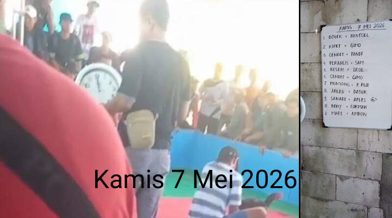 Kapolri Tolong! Judi Sabung Ayam Merajalela di Sedati, Polsek dan Polres Tak Bersuara
