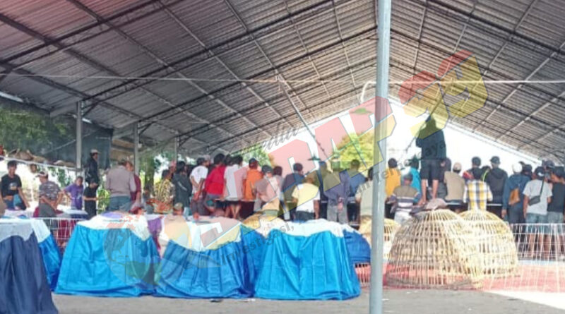 Diduga Jadi yang Termewah di Jatim, Aktivitas Judi Sabung Ayam di Klurak Candi Sidoarjo Berfasilitas Megah