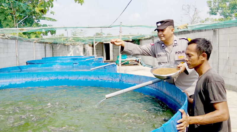 Bhabinkamtibmas Polsek Rembang Pantau Budidaya Lele